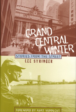 Book cover for Grand Central Winter