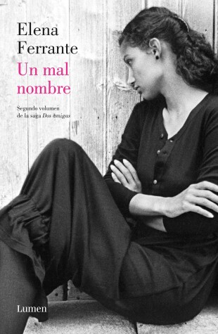 Book cover for Un mal nombre (Dos amigas #2)  / The Story of a New Name: Neapolitan Novels #2