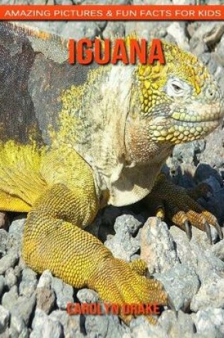 Cover of Iguana