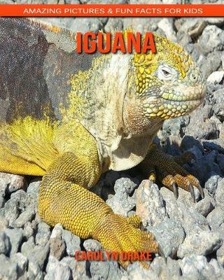 Book cover for Iguana