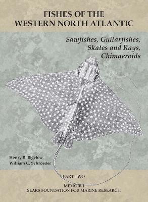 Cover of Sawfishes, Guitarfishes, Skates and Rays, Chimaeroids