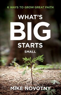 Book cover for What's Big Starts Small