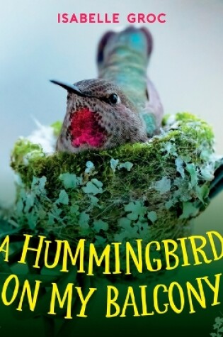 Cover of A Hummingbird on My Balcony