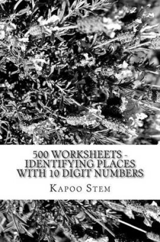 Cover of 500 Worksheets - Identifying Places with 10 Digit Numbers