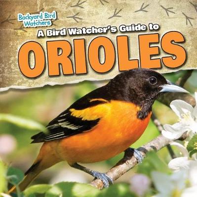 Book cover for A Bird Watcher's Guide to Orioles