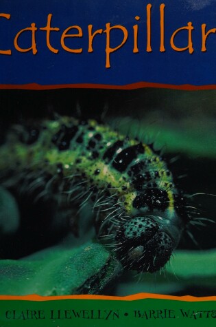 Cover of Caterpillars