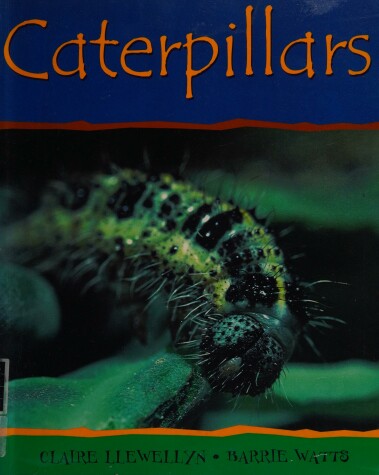 Cover of Caterpillars