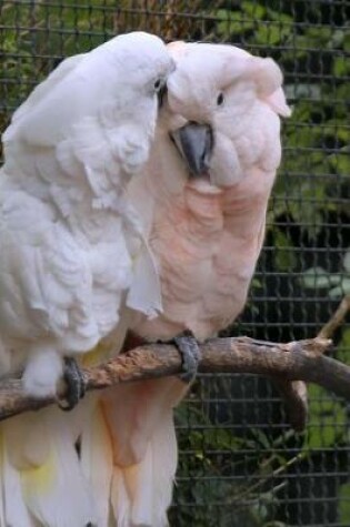 Cover of Cute Pair of Mated Cockatoo Birds Journal