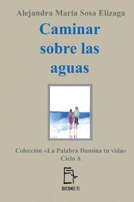 Book cover for Caminar sobre las aguas