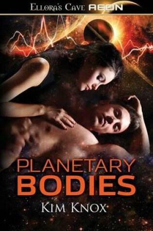 Cover of Planetary Bodies