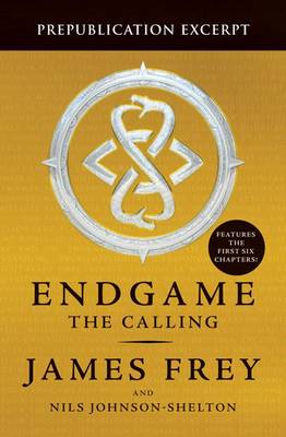 Book cover for Endgame Sampler