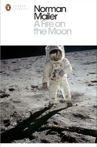 Cover of A Fire on the Moon