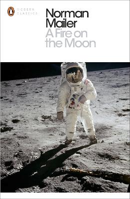 Book cover for A Fire on the Moon
