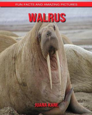 Book cover for Walrus