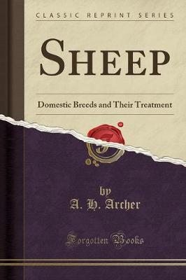 Book cover for Sheep