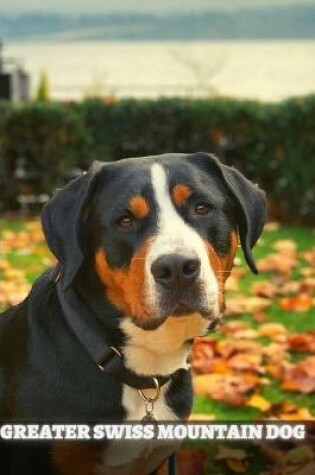 Cover of Greater Swiss Mountain Dog