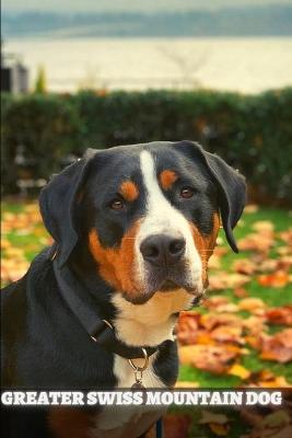 Book cover for Greater Swiss Mountain Dog