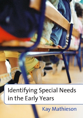 Book cover for Identifying Special Needs in the Early Years