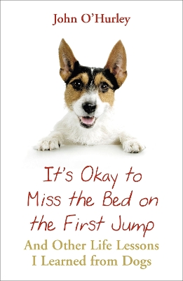 Book cover for It's OK to Miss the Bed on the First Jump