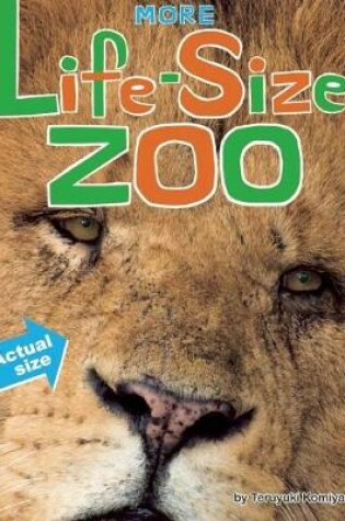 Cover of More Life-Size Zoo