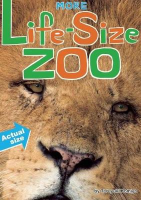 Book cover for More Life-Size Zoo