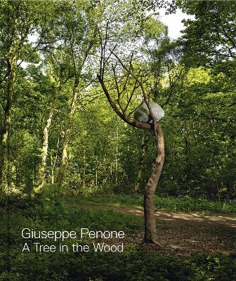 Book cover for Giuseppe Penone