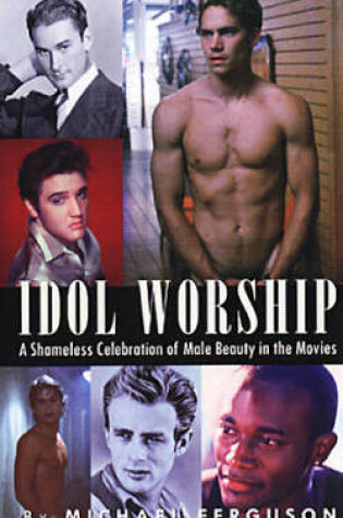 Cover of Idol Worship