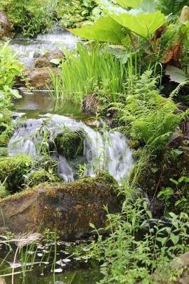 Book cover for Lush Green Plants Along a Stream Nature Journal