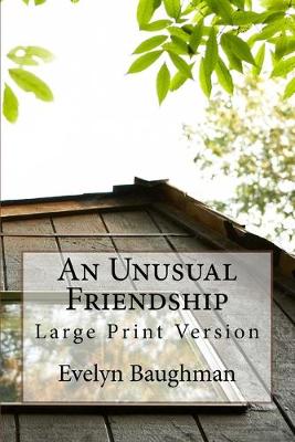 Book cover for An Unusual Friendship