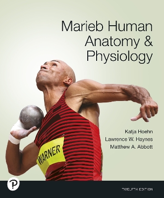 Book cover for Marieb Human Anatomy & Physiology