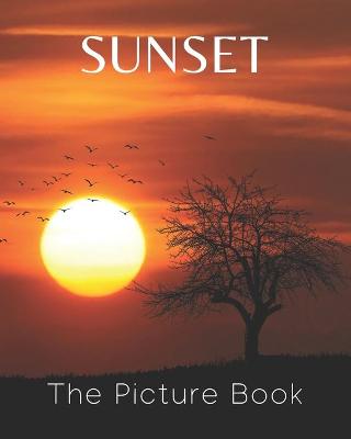 Book cover for Sunset