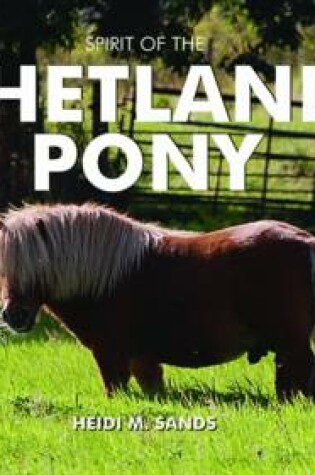 Cover of Spirit of the Shetland Pony