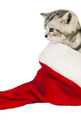 Cover of British Shorthair Kitten in a Christmas Santa