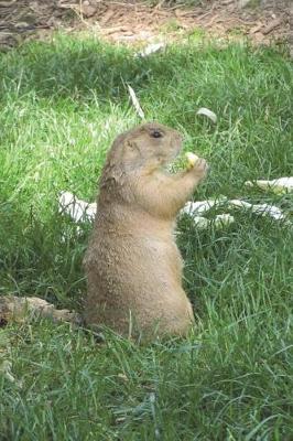Book cover for Prairie Dog Having a Snack in the Grass Journal