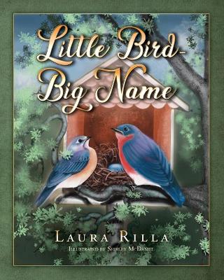 Book cover for Little Bird-Big Name