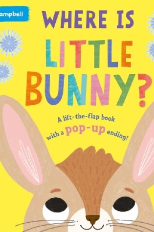 Cover of Where is Little Bunny?