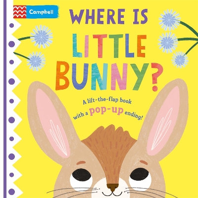 Cover of Where is Little Bunny?