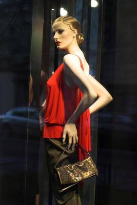 Book cover for Fashion Mannequin in Paris, France