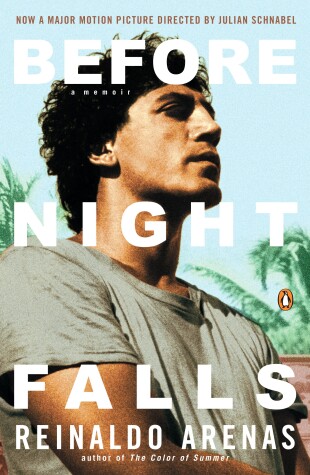 Book cover for Before Night Falls