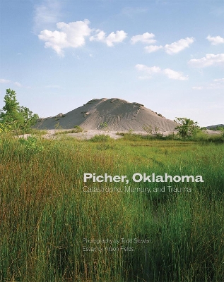 Book cover for Picher, Oklahoma