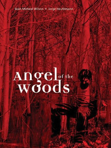 Book cover for Angel of the Woods