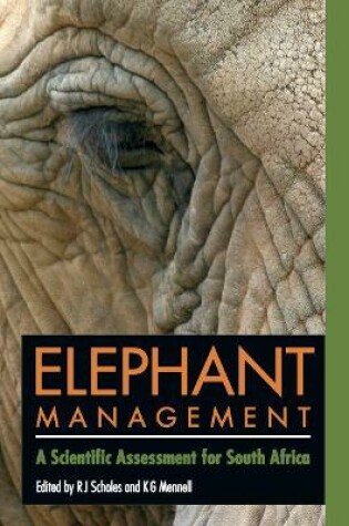 Cover of Elephant management