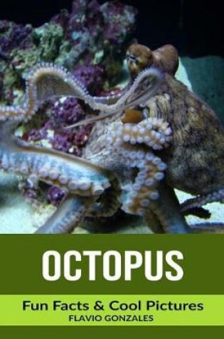 Cover of Octopus