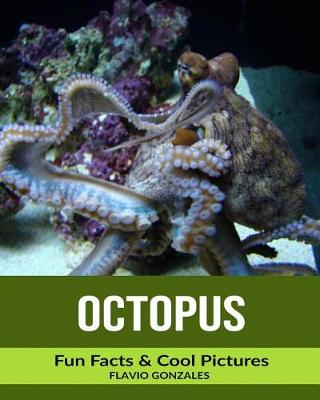 Book cover for Octopus