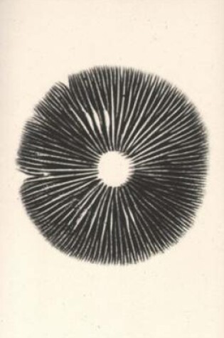 Cover of Annie Ratti - the Mushroom Project