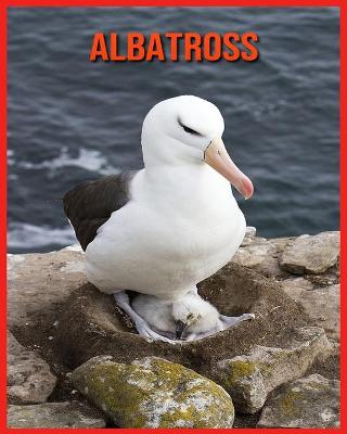 Book cover for Albatross