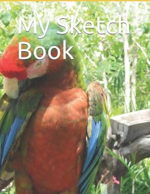 Book cover for My Sketch Book