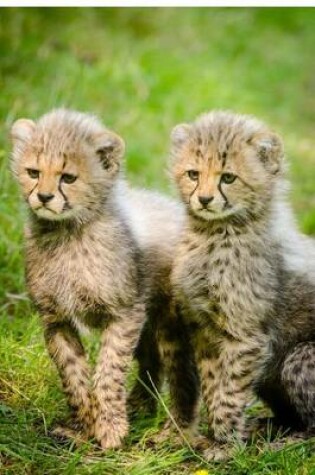 Cover of Cheetah Cubs Baby Animal Journal