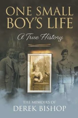 Cover of One Small Boy's Life