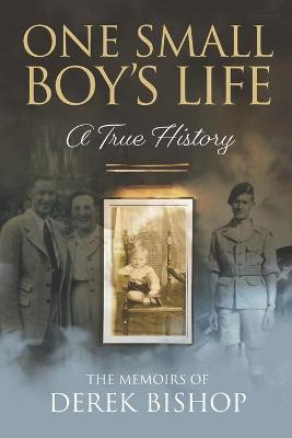 Book cover for One Small Boy's Life